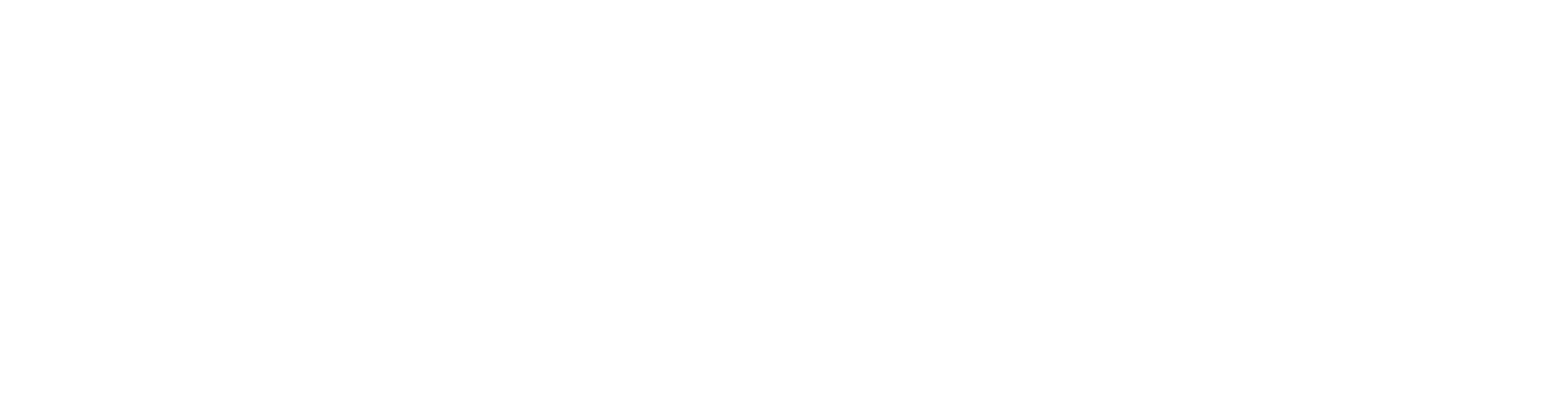 Filtronic Logo groß für dunkle Hintergründe (transparentes PNG)