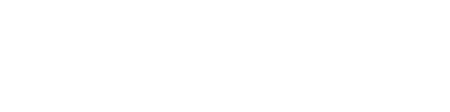 Formula One Group Logo groß für dunkle Hintergründe (transparentes PNG)