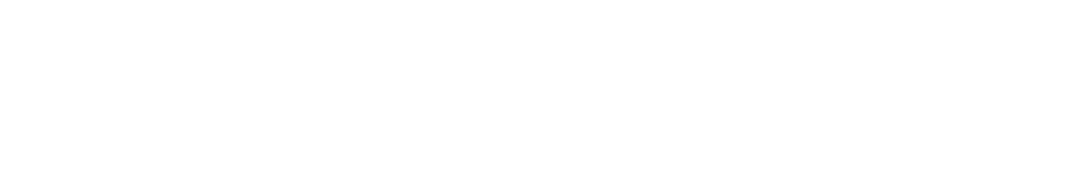 SGT German Private Equity Logo groß für dunkle Hintergründe (transparentes PNG)