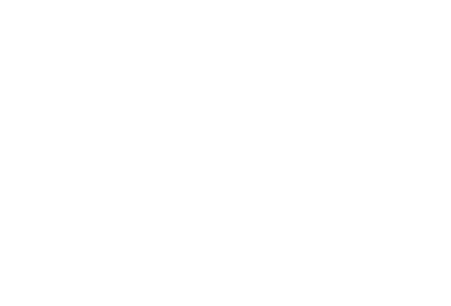 GAM Holding AG Logo groß für dunkle Hintergründe (transparentes PNG)
