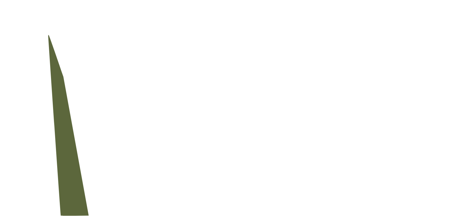 GDI Property Group logo grand pour les fonds sombres (PNG transparent)
