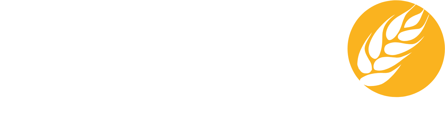 Groupe Minoteries SA Logo groß für dunkle Hintergründe (transparentes PNG)