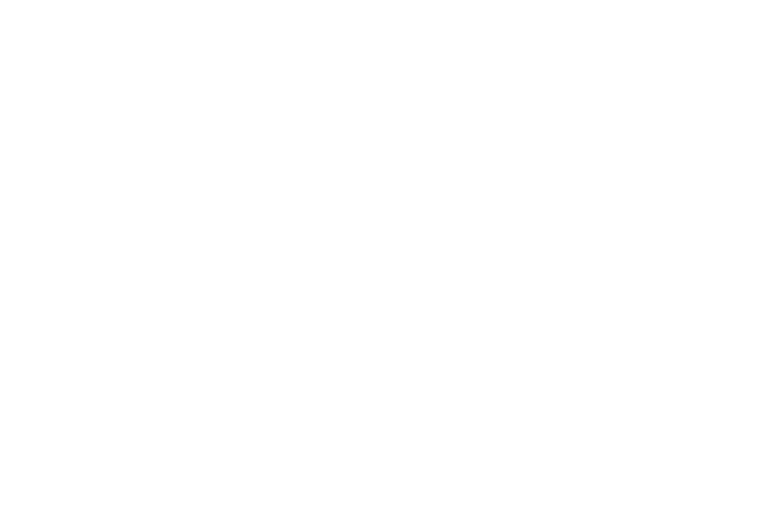 Nornickel logo pour fonds sombres (PNG transparent)