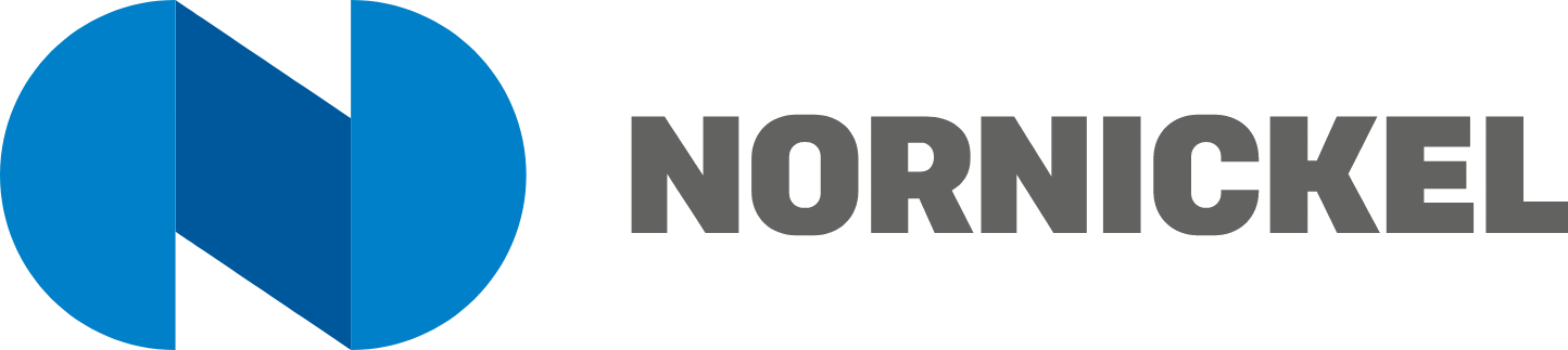 Nornickel logo large (transparent PNG)