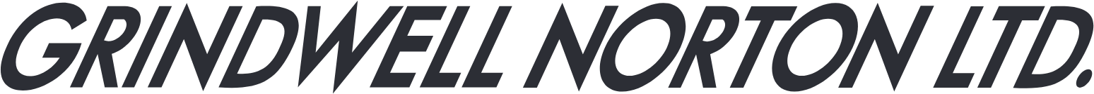 Grindwell Norton logo large (transparent PNG)