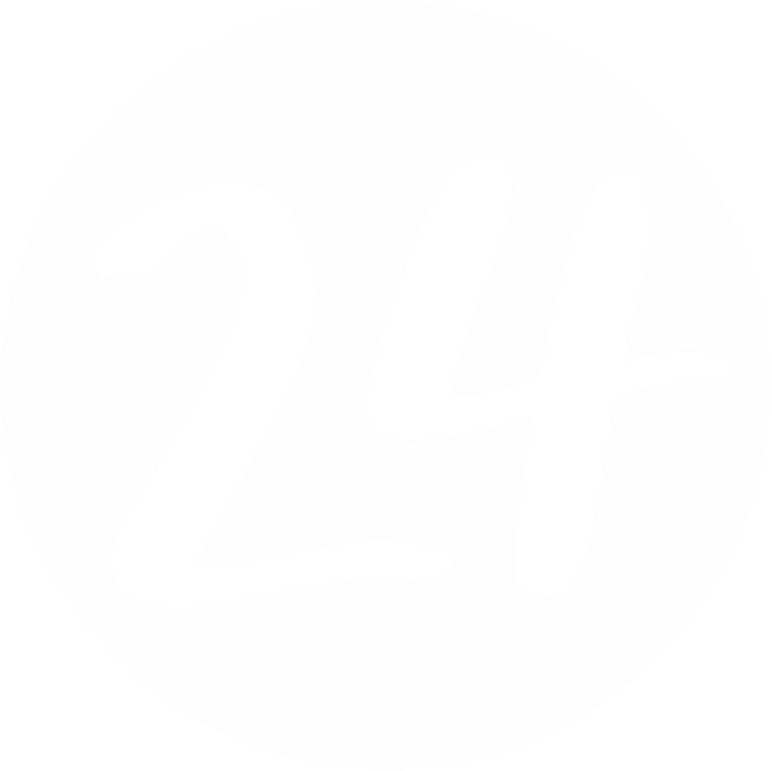 home24 logo pour fonds sombres (PNG transparent)