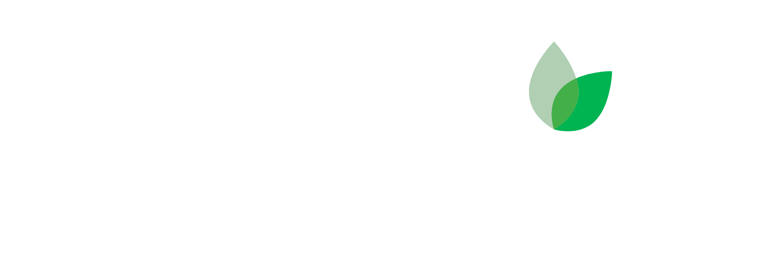 Hudson Technologies logo large for dark backgrounds (transparent PNG)