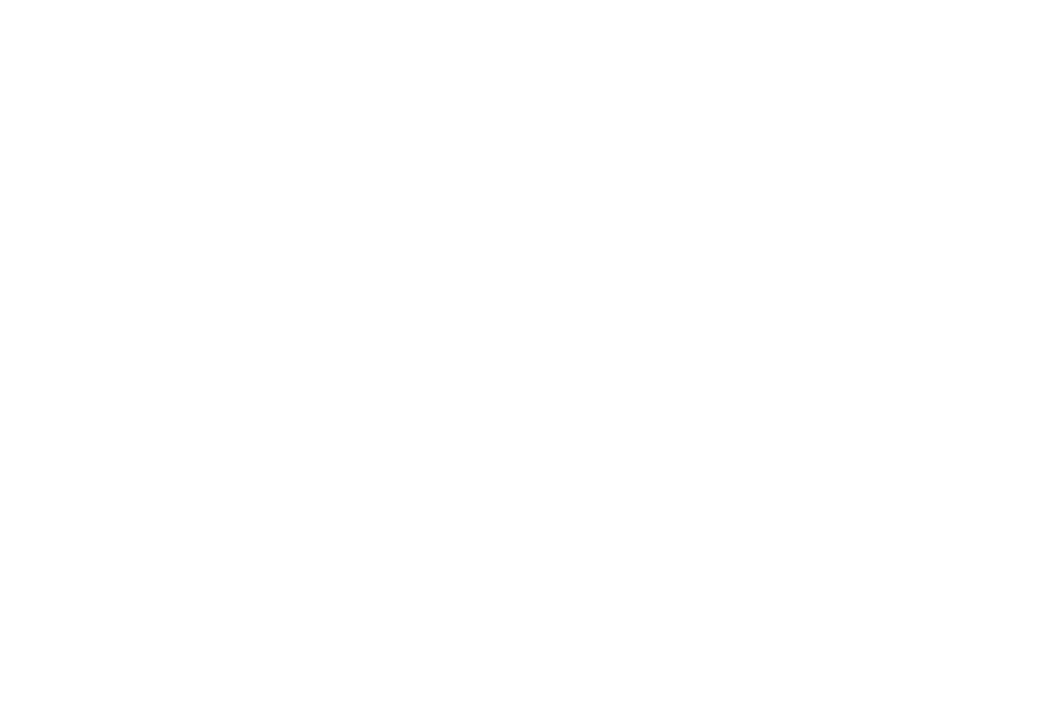 HEICO Logo für dunkle Hintergründe (transparentes PNG)