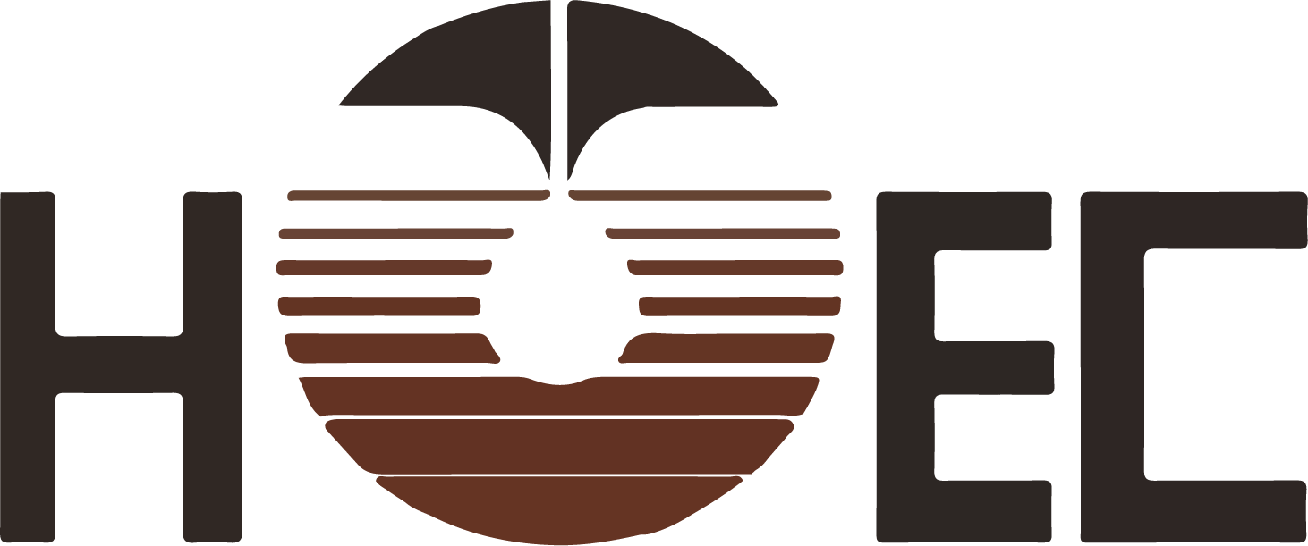 Hindustan Oil Exploration Company logo large (transparent PNG)