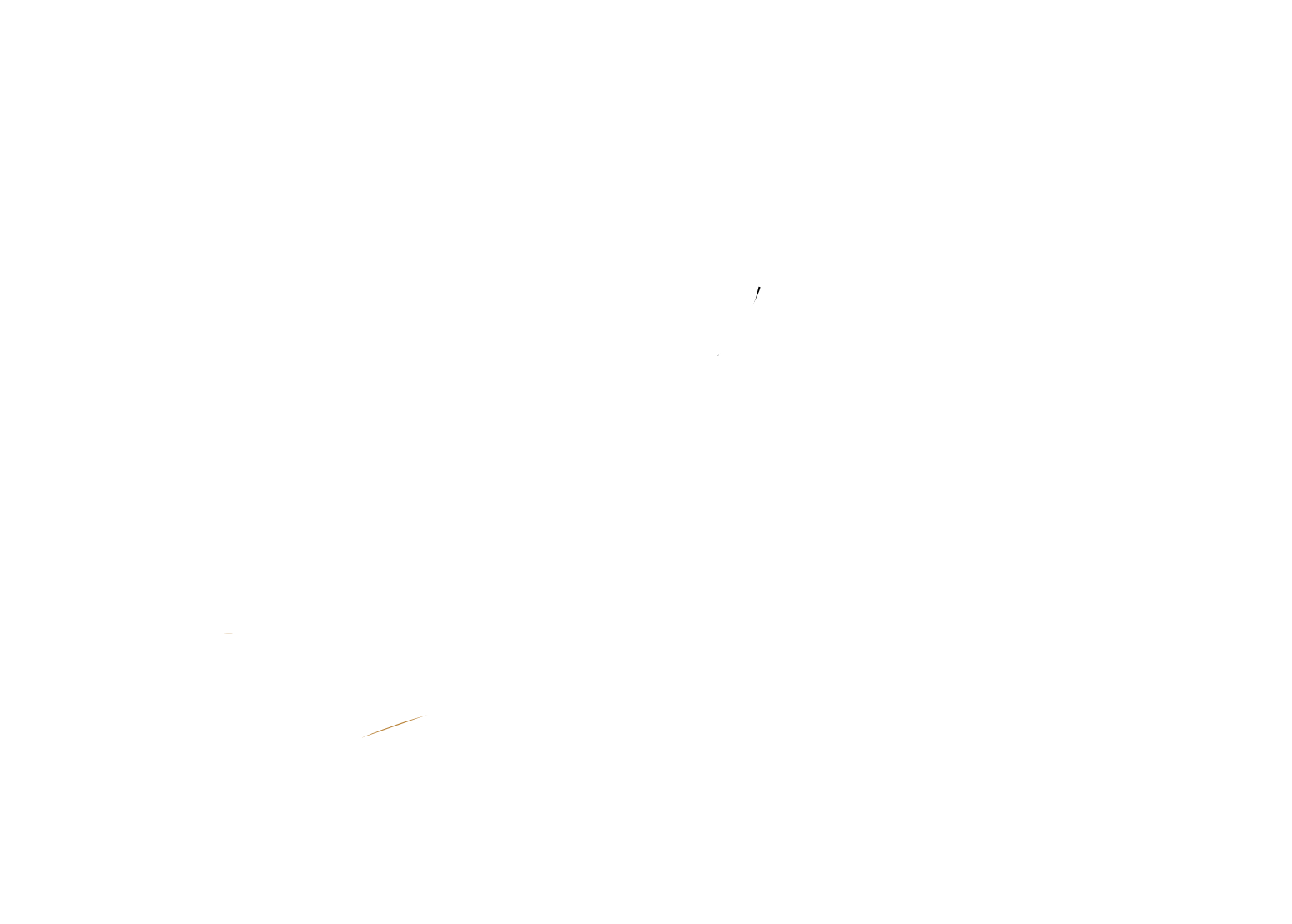 Sampoerna
 logo fulle size on a dark background (transparent PNG)