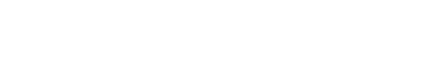 HUB Cyber Security logo large for dark backgrounds (transparent PNG)