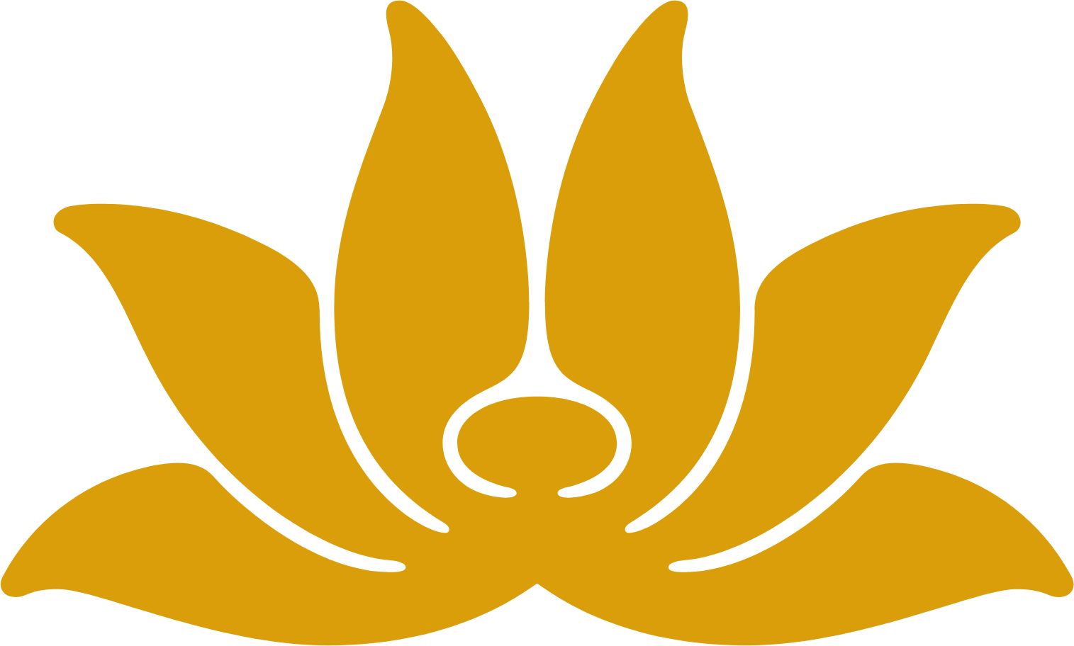 Vietnam Airlines logo (transparent PNG)