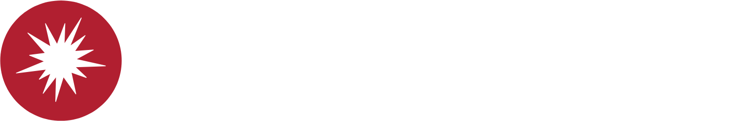 Hypoport Logo groß für dunkle Hintergründe (transparentes PNG)