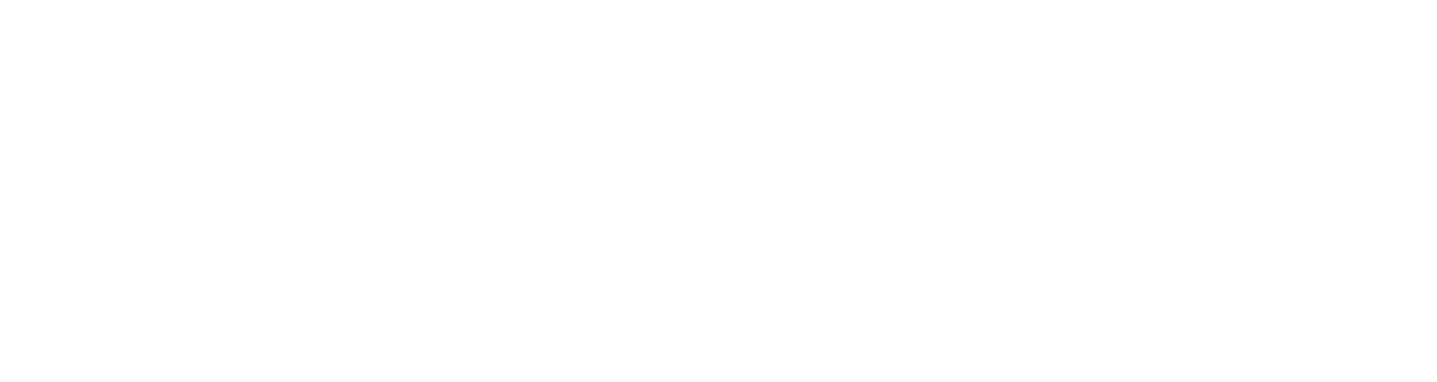 IDEX logo for dark backgrounds (transparent PNG)