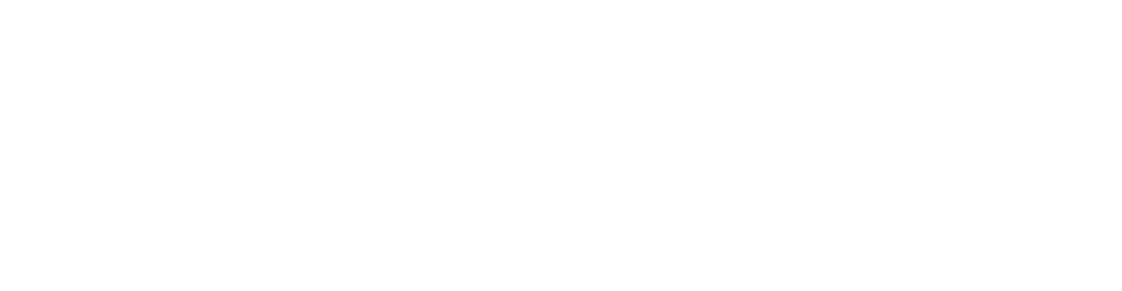 IMV
 logo for dark backgrounds (transparent PNG)
