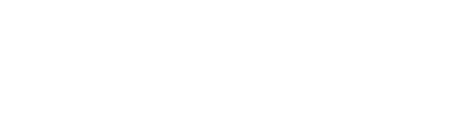 IVS Group Logo groß für dunkle Hintergründe (transparentes PNG)