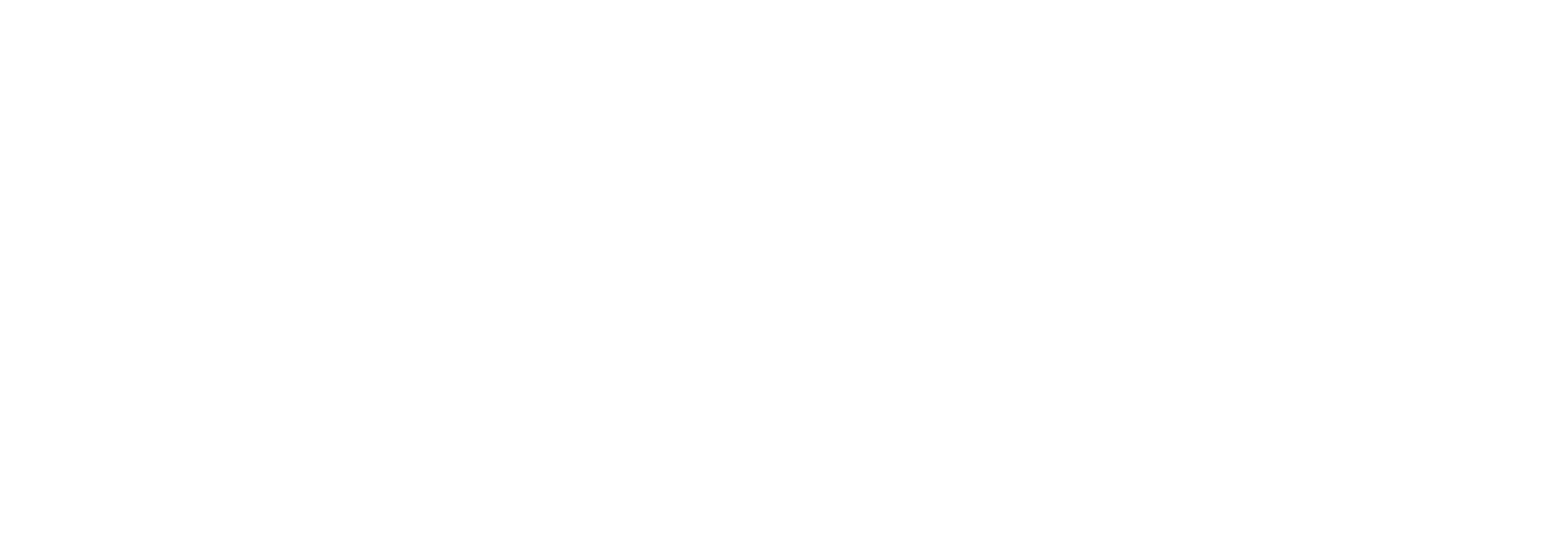 Janus International Group logo fulle size on a dark background (transparent PNG)