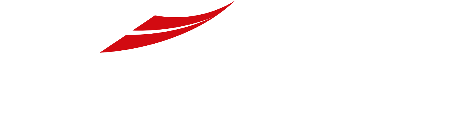 JSW Energy
 logo grand pour les fonds sombres (PNG transparent)