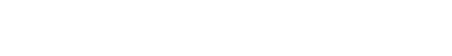 Nordstrom logo large for dark backgrounds (transparent PNG)