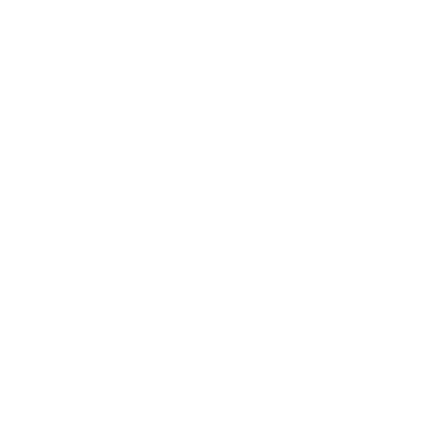 Nerolac Paints logo on a dark background (transparent PNG)