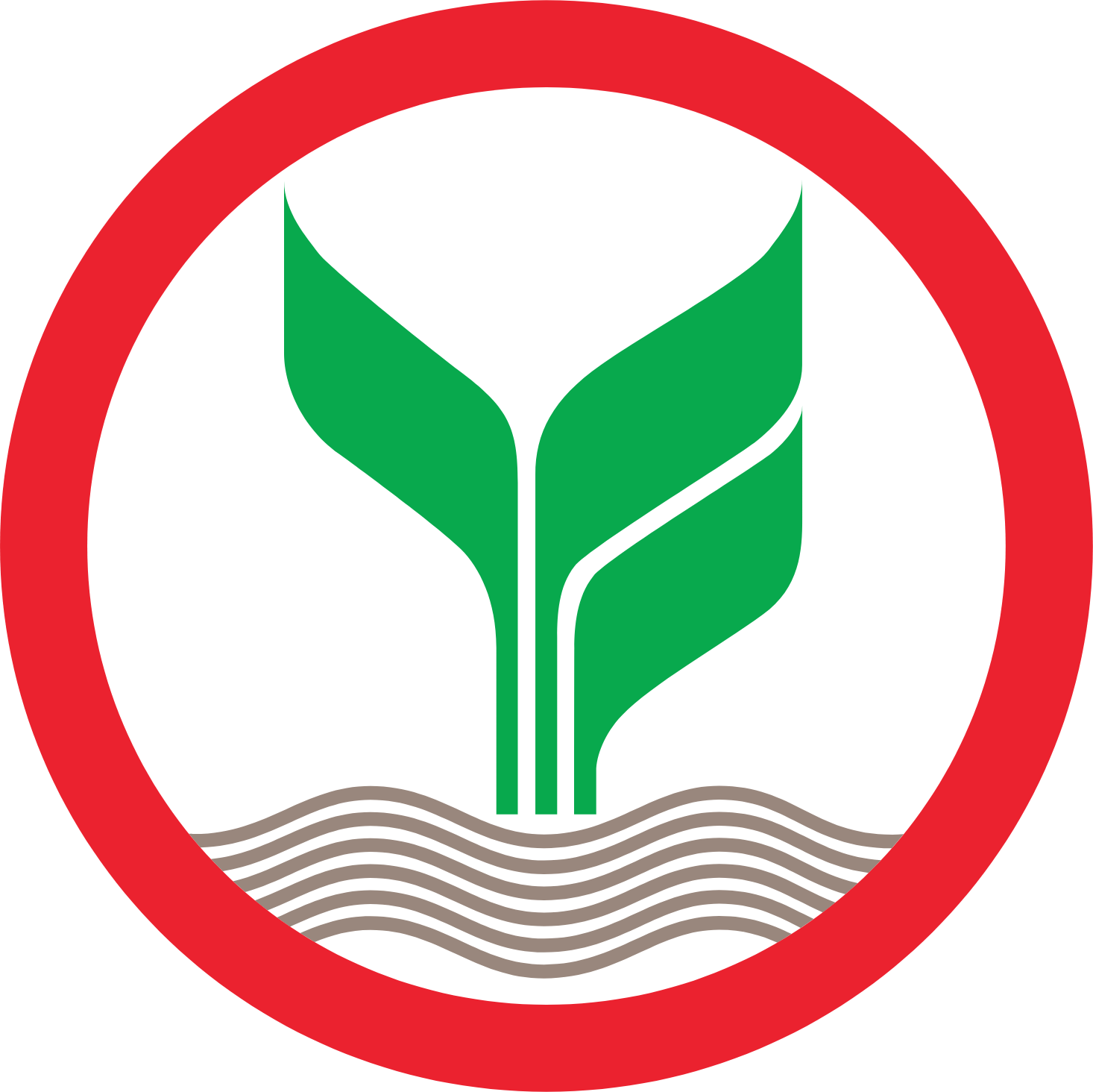 Kasikornbank Logo (transparentes PNG)