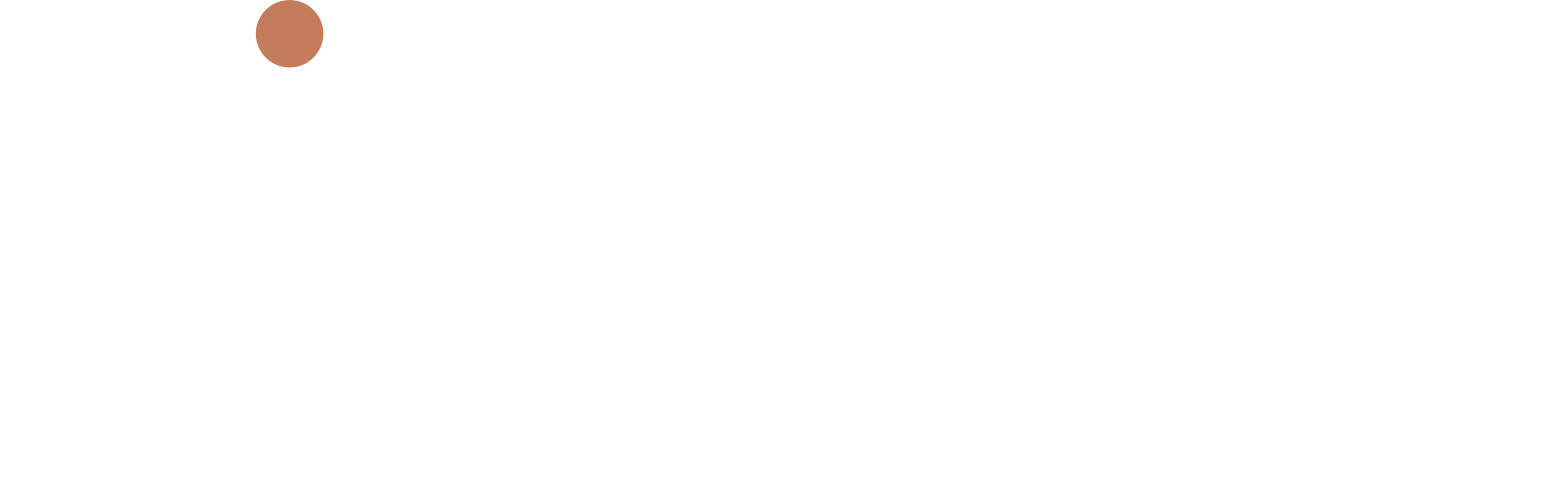 Kirloskar Ferrous Industries logo grand pour les fonds sombres (PNG transparent)