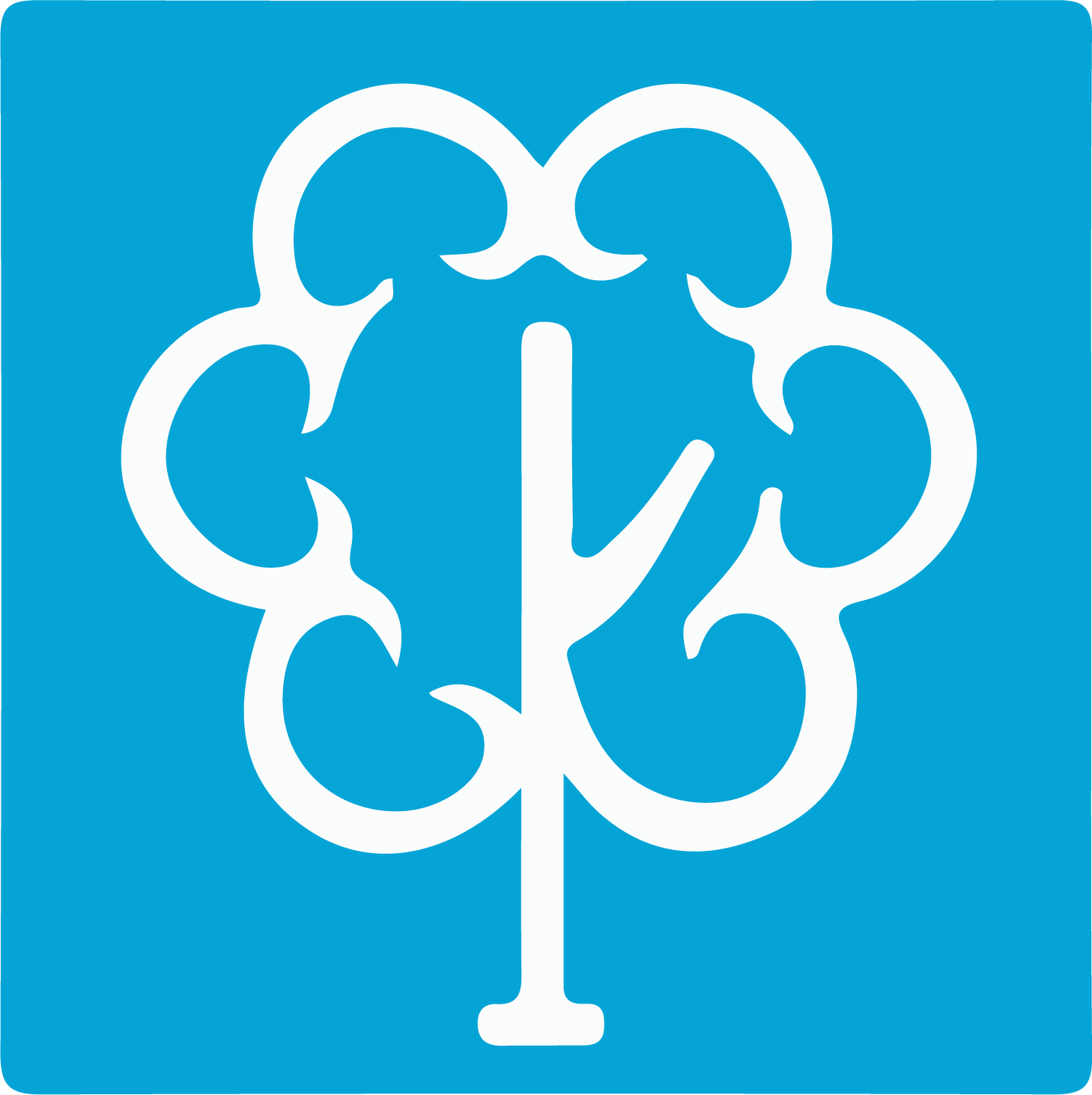alpataru Projects International Logo (transparentes PNG)
