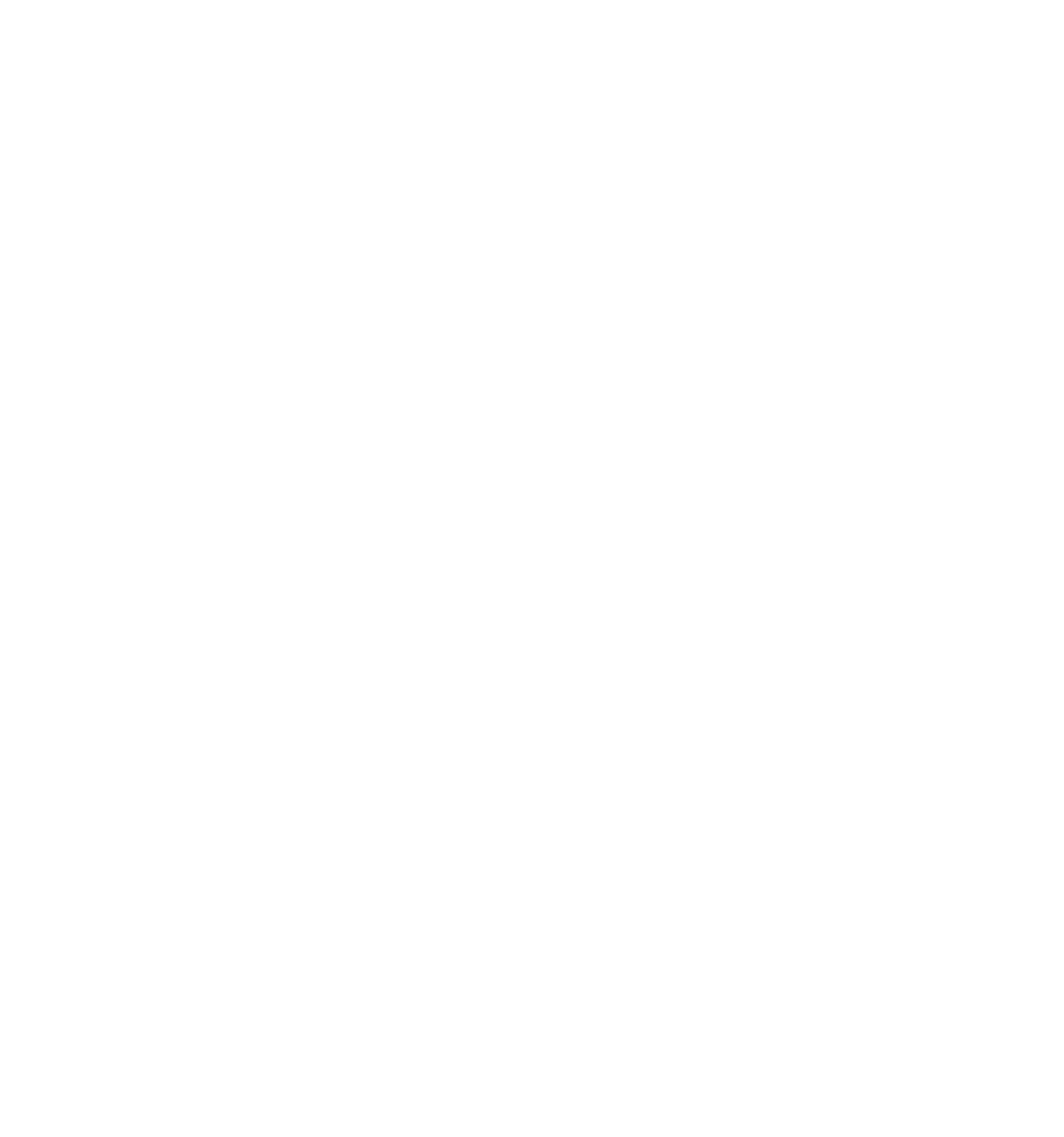 KPN Logo für dunkle Hintergründe (transparentes PNG)