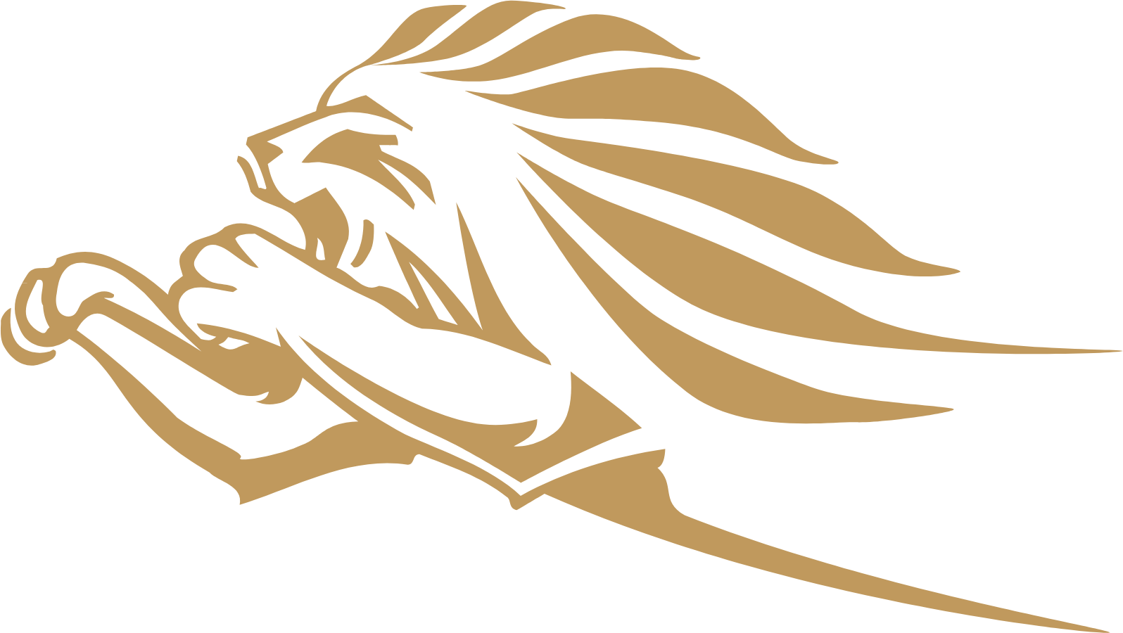 Kingspan Group logo (transparent PNG)