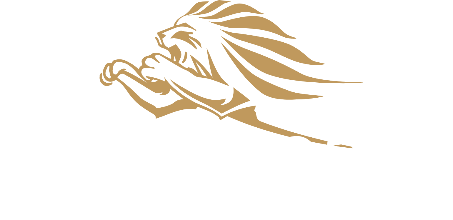 Kingspan Group Logo groß für dunkle Hintergründe (transparentes PNG)