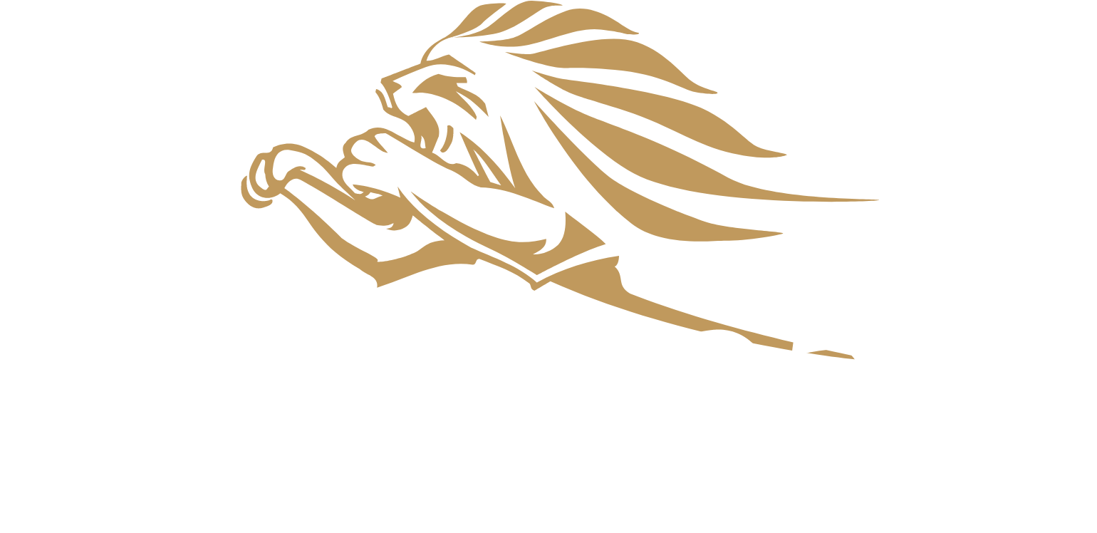 Kingspan Group logo fulle size on a dark background (transparent PNG)