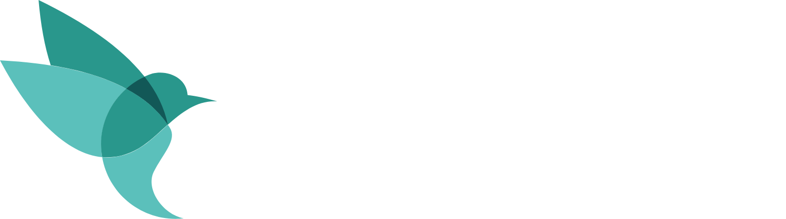 Lumibird Logo groß für dunkle Hintergründe (transparentes PNG)