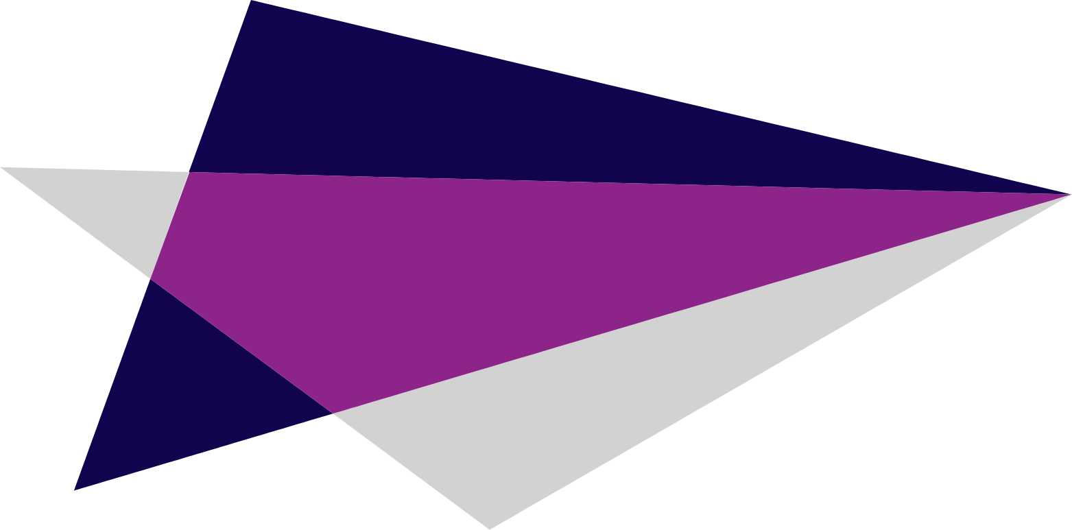 Leidos logo (transparent PNG)