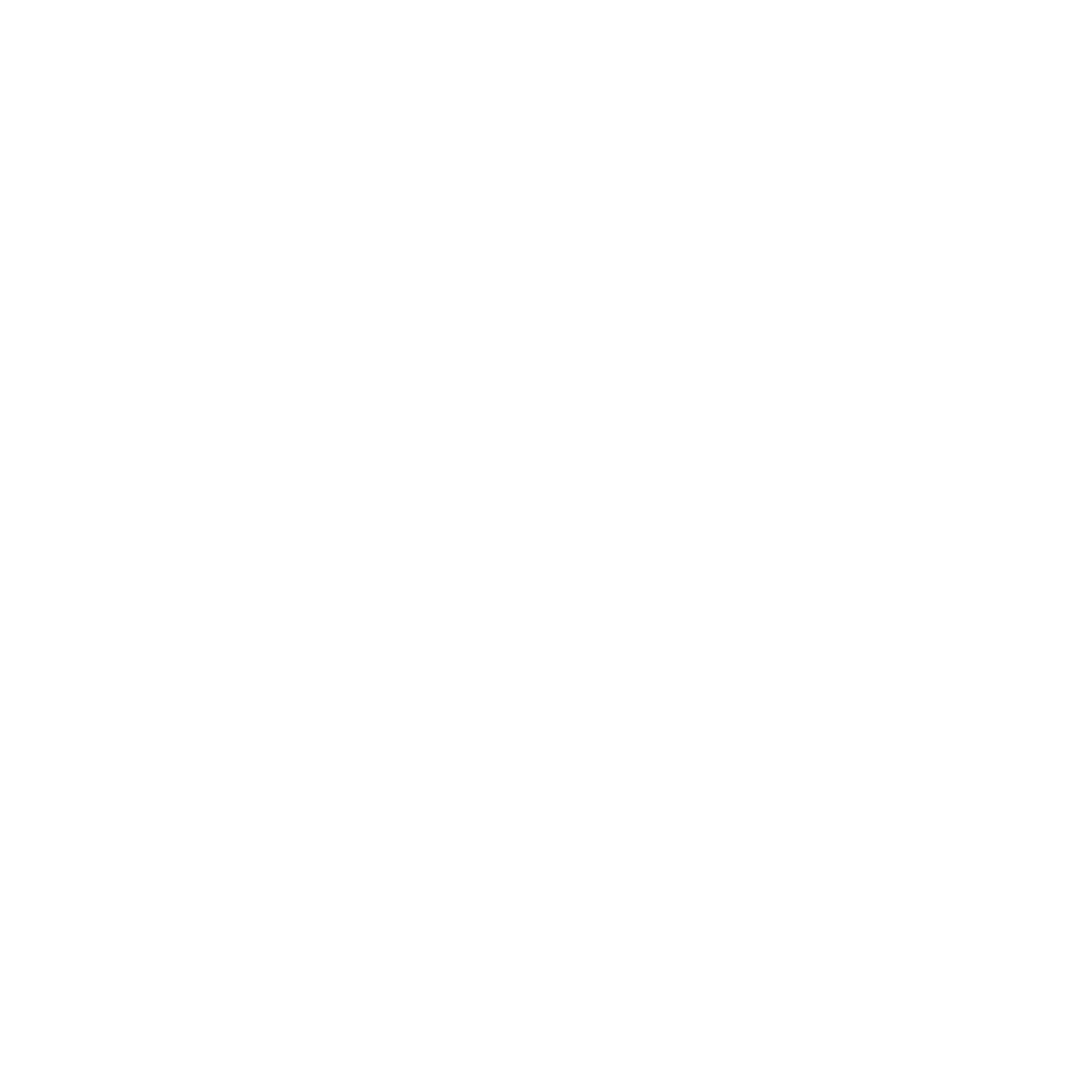 Lenzing

 logo pour fonds sombres (PNG transparent)