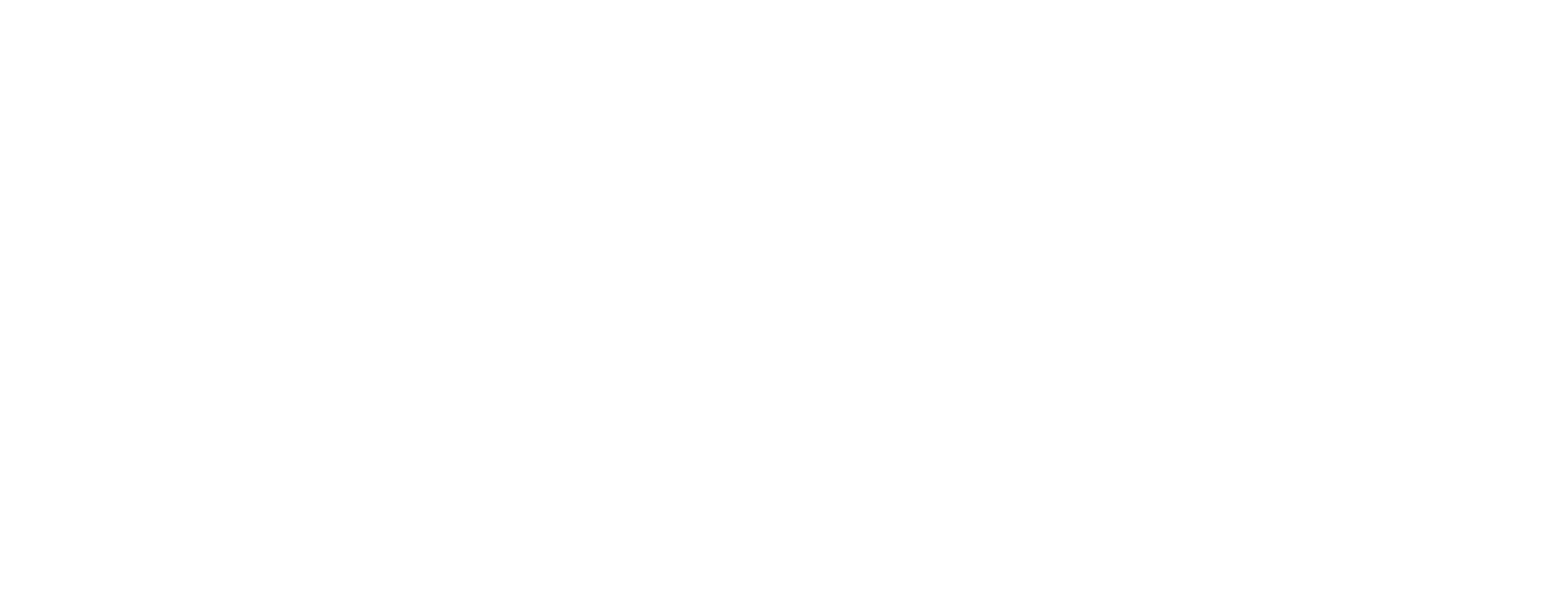 Light S.A. Logo groß für dunkle Hintergründe (transparentes PNG)