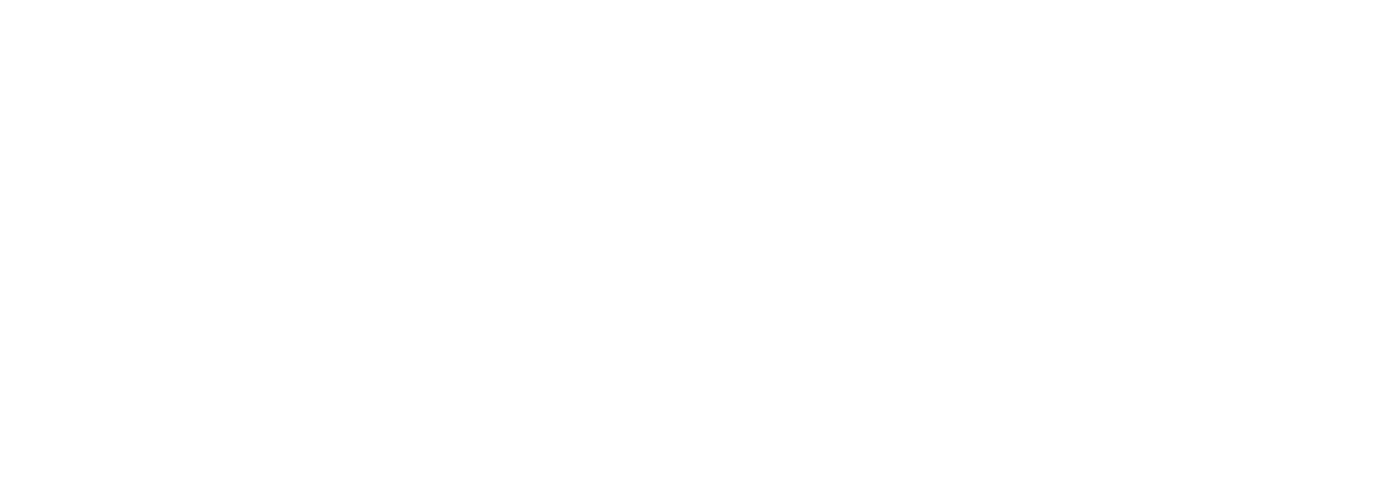 Neutron Holdings (Lime) logo grand pour les fonds sombres (PNG transparent)