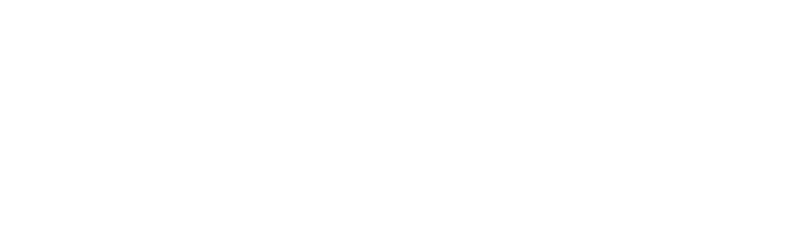 LENSAR Logo groß für dunkle Hintergründe (transparentes PNG)