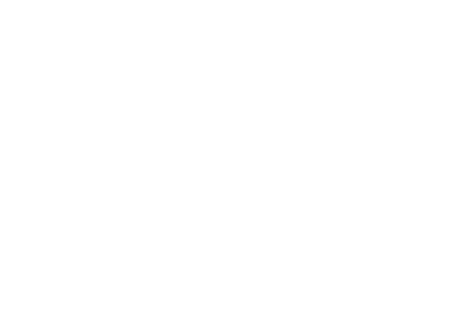 Spark Networks logo for dark backgrounds (transparent PNG)
