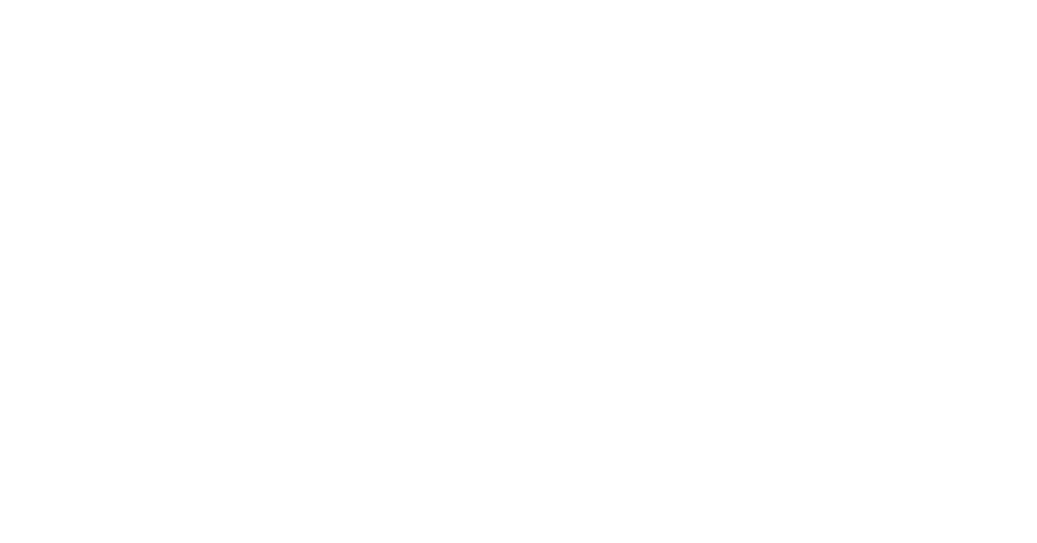 Spark Networks logo large for dark backgrounds (transparent PNG)