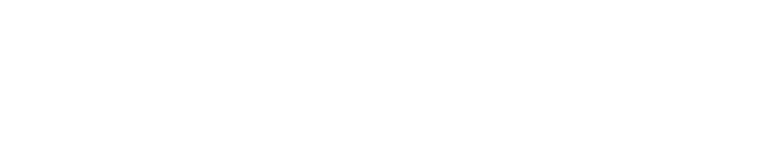 Liquidity Services
 Logo für dunkle Hintergründe (transparentes PNG)