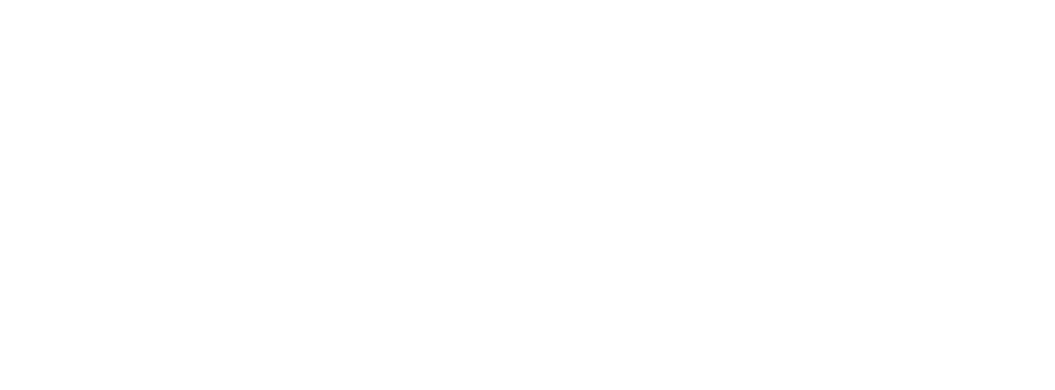 Liquidity Services
 Logo groß für dunkle Hintergründe (transparentes PNG)