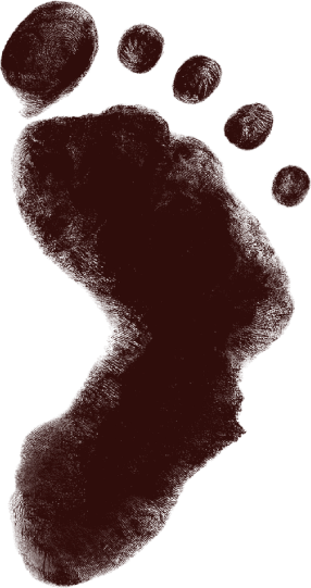 Lesaka Technologies logo (PNG transparent)