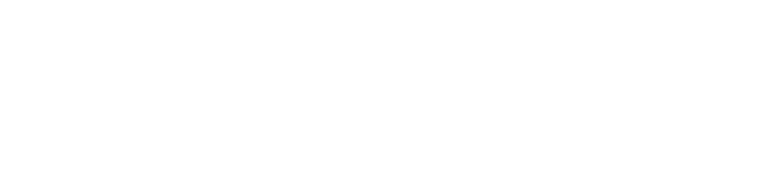 Lightspeed POS Logo groß für dunkle Hintergründe (transparentes PNG)