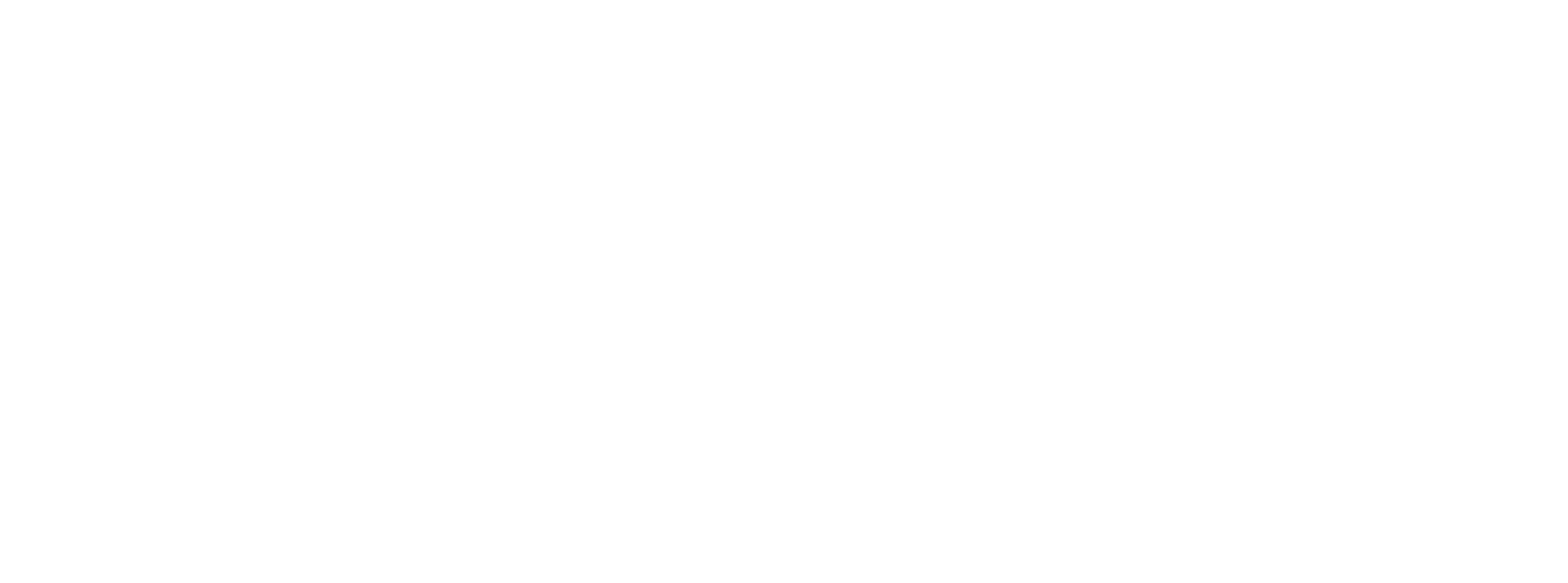 Life Time Group Logo für dunkle Hintergründe (transparentes PNG)