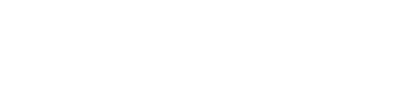 Life Time Group logo large for dark backgrounds (transparent PNG)