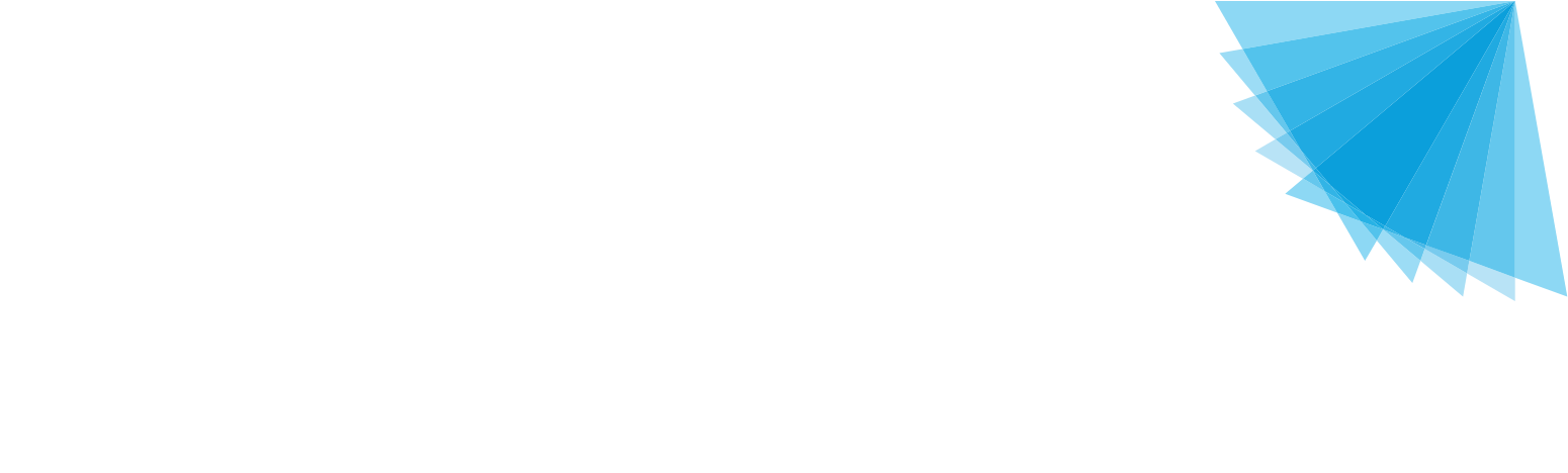 Nynomic AG Logo groß für dunkle Hintergründe (transparentes PNG)