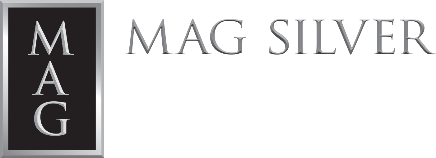 MAG Silver logo large (transparent PNG)