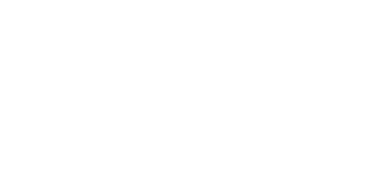 Magnetic Resources NL logo grand pour les fonds sombres (PNG transparent)