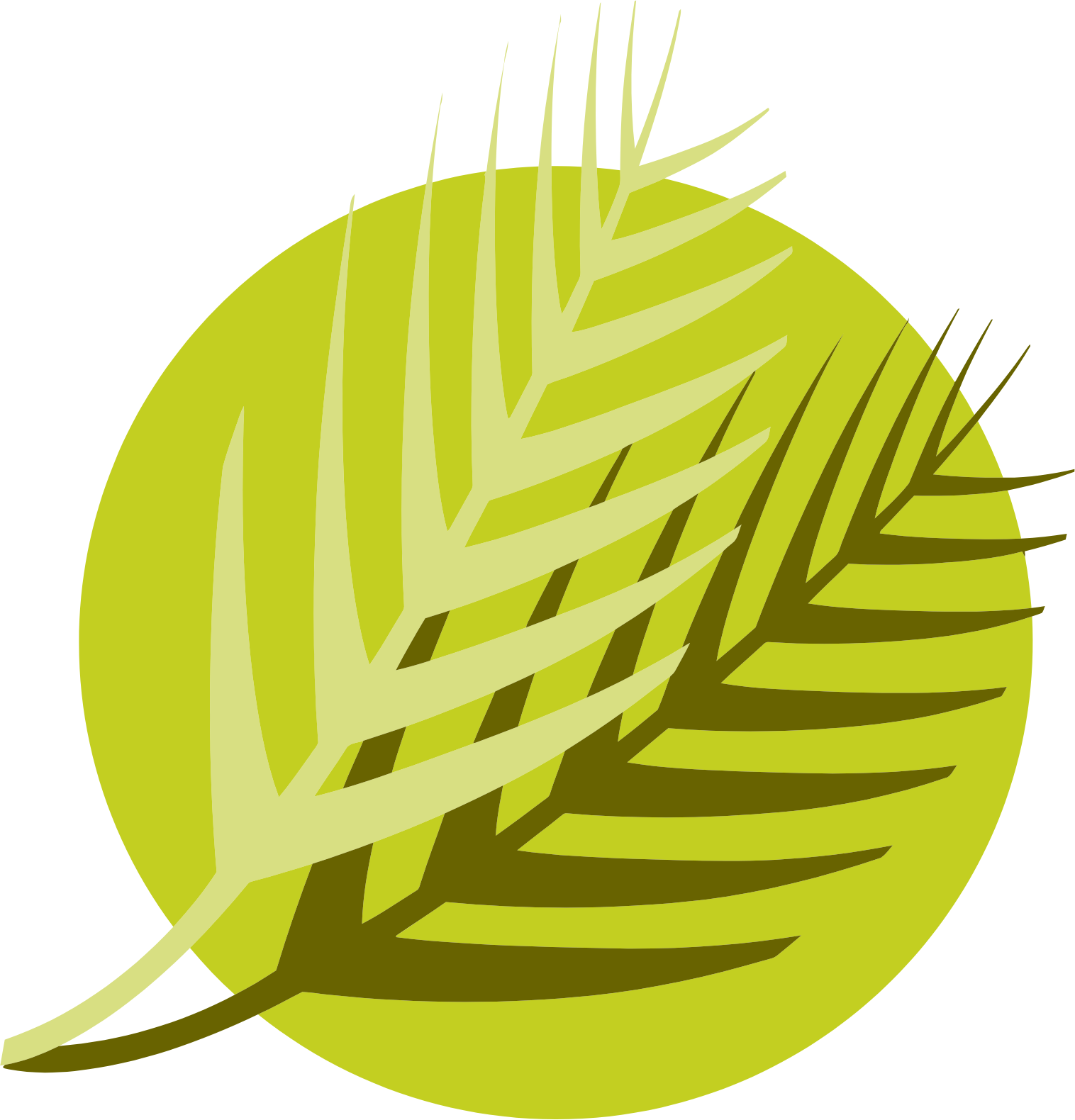 Al Meera Consumer Goods Company logo (transparent PNG)