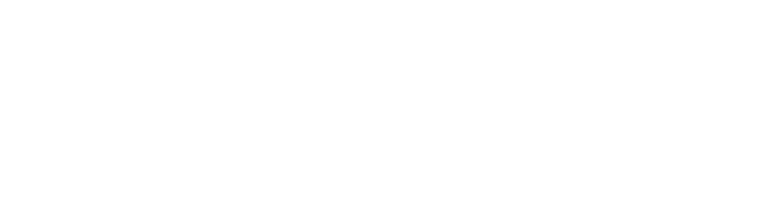Max Financial Services
 logo grand pour les fonds sombres (PNG transparent)